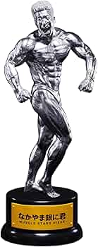 MUSCLE STARS PIECE なかやまきんに君~りそうの姿トロフィー６個 Amazon.co.jp: MUSCLE STARS PIECE なかやまきんに君～りそうの姿